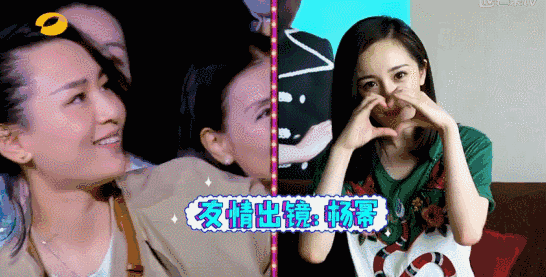 江疏影|杨幂忽然官宣认爱?网友:早就看你们不对劲!