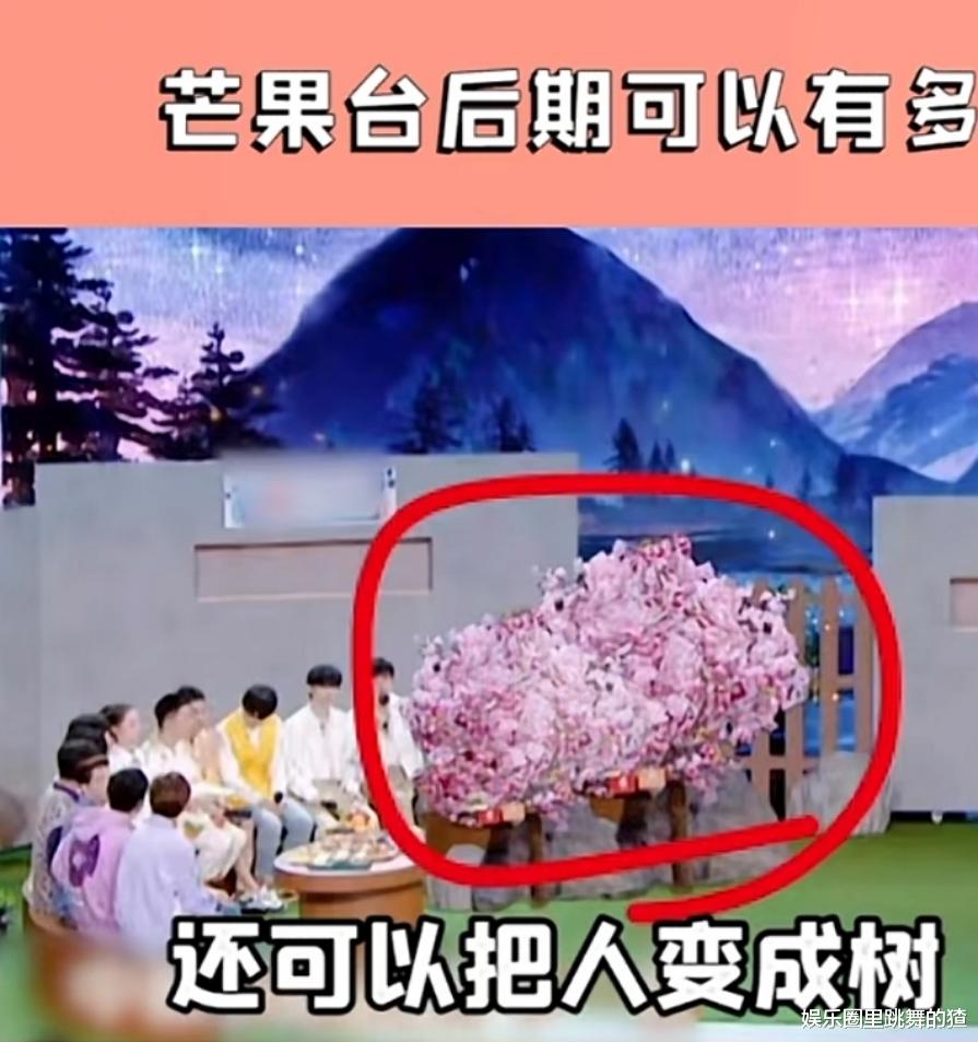 湖南卫视|相关部门再出新规,湖南卫视又成关注重点,部分综艺只能打码播出