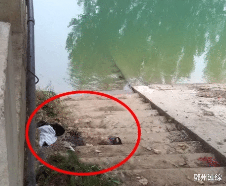 邓州 邓州一男子不幸溺亡！随行犬水中不断搜寻主人！