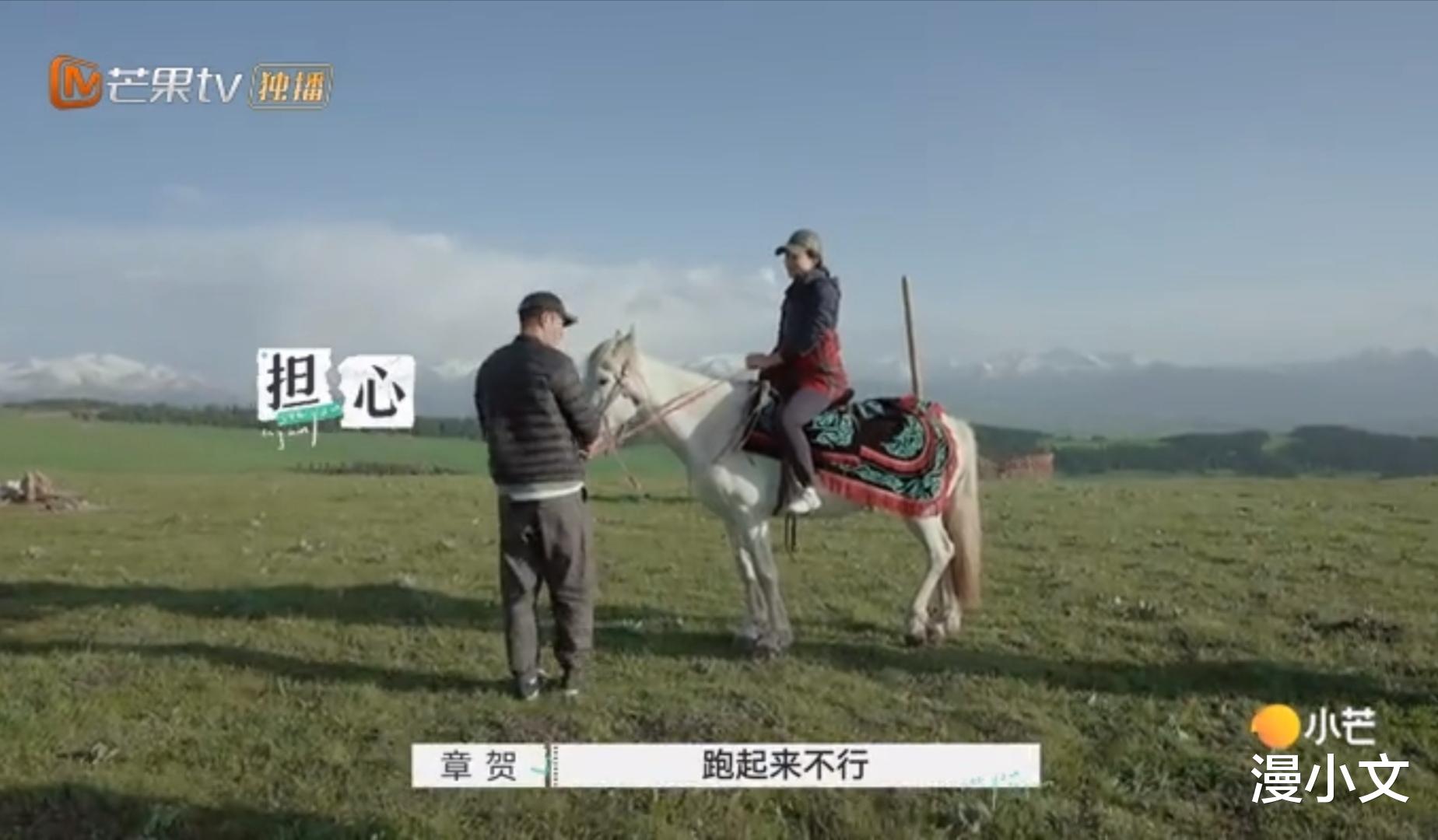 漫小文|再见爱人：离婚一年的章贺郭柯宇，他们处成了离婚后最好的模样