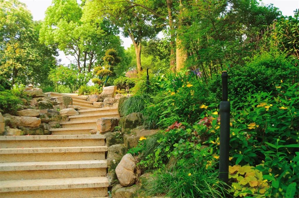 创造力景观花园设计|打造庭院空间层次感的元素——台阶的秘密,这些你知道吗