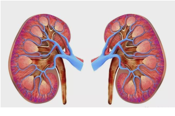 |肾好不好，从晨起身体反应就能看出，占2个就偷着乐吧！