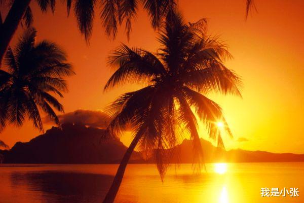 处女座|有野心，知人善用的3大生肖，有很强的洞察力，善于运筹帷幄