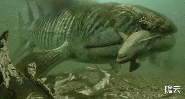 长达40亿年的生命历程,人类是如何一步步进化来的?(人类进化极简史)