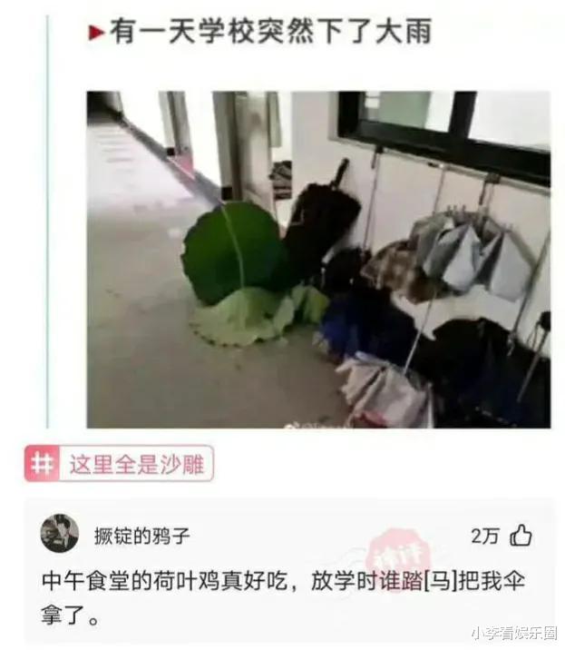 王思聪|神回复：如果你捡到王思聪的狗，怎么做到利益最大化？神评论绝了