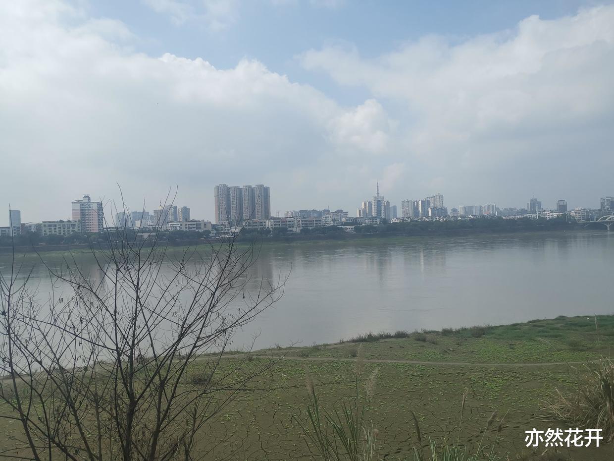 |职场写作：实现视觉化、形象化，让文稿图文并茂