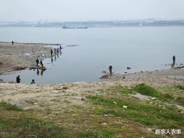 鸵鸟|安徽一男子火了，直接坐在自己家的屋中钓鱼，网友：房子不卖吧？