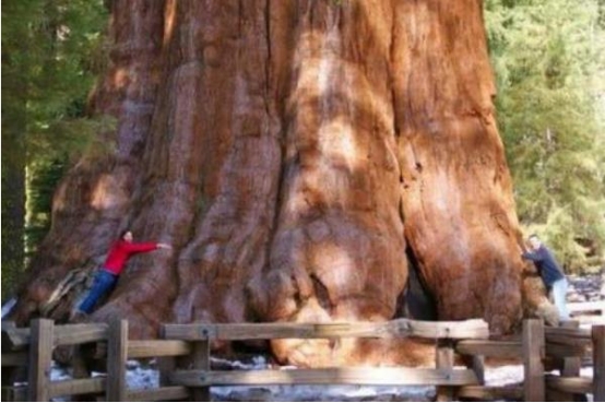 陨石坑 有什么东西在你知道后完全颠覆了你心中原本所想的样子？