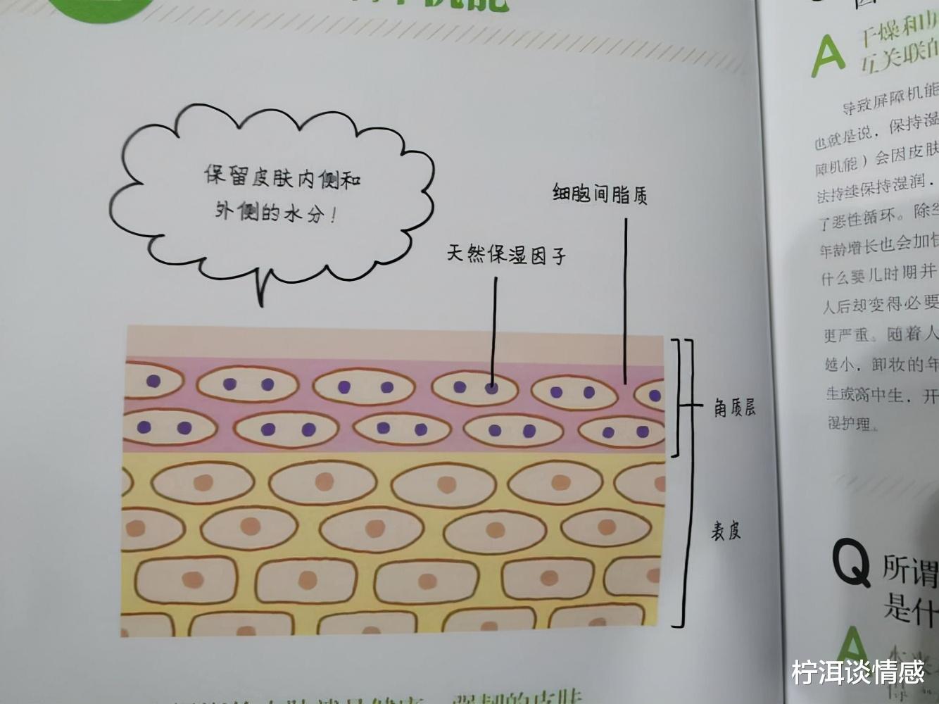 短发 女明星的巴掌脸每年保养费过百万,皮肤科医生剖析如何省钱护肤