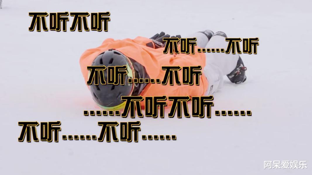 陈赫|五哈2：陈赫过生日被节目组套路，却意外找到了“收视密码”