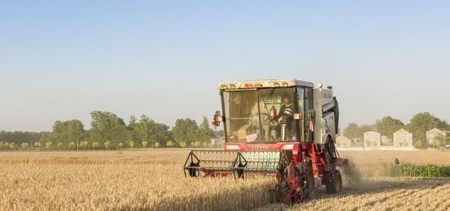 奶爸育儿宝库|旱灾+涝灾，国际粮价大幅上涨，跌跌不休的国内粮价能反转吗