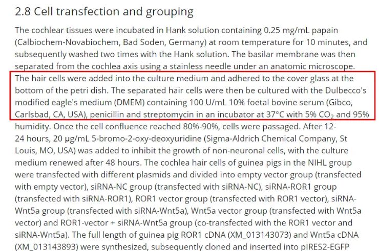 博尔德 细胞培养及凋亡检测结果不合理？临沂市人民医院高分论文被质疑