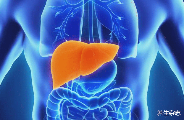肝脏|体内有癌，皮肤先知！专家：皮肤若有3种异常，八成是肝癌上门，早查肝CT