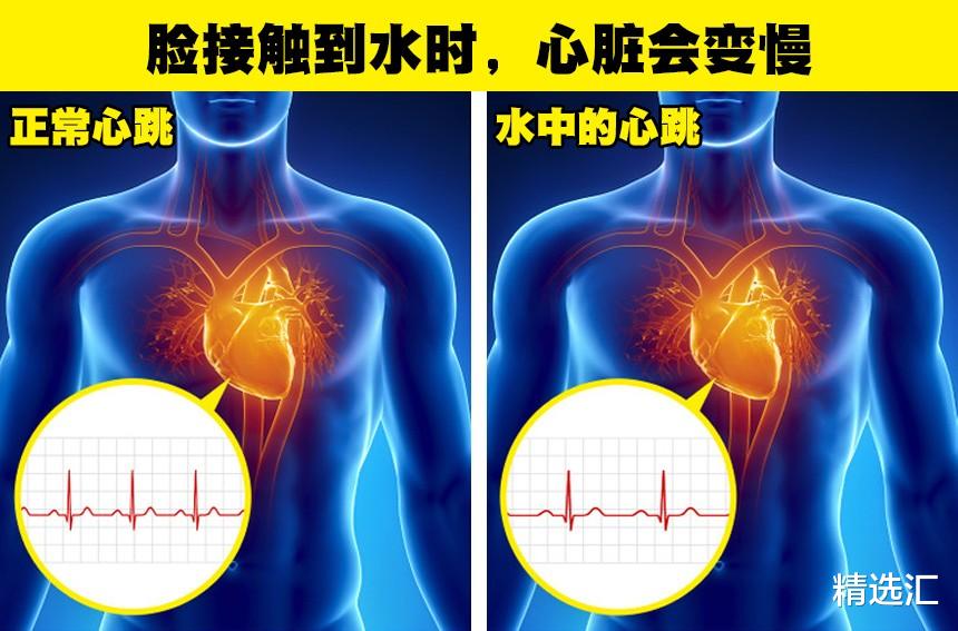 科学冷知识:你可能没有在生物课上学过的9个有趣事实