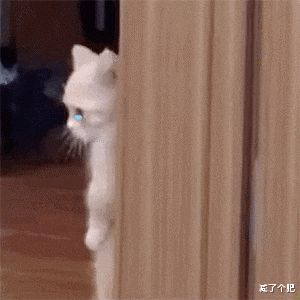 饮食|减肥那点事｜什么情况不是减肥平台期，怎么突破？