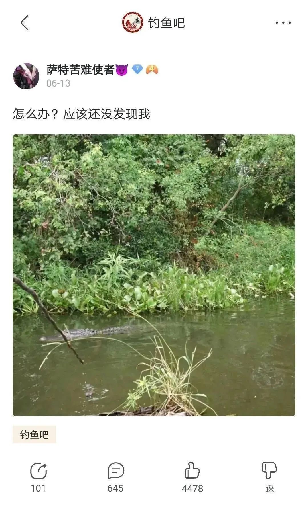 |戒色吧、抗压吧、钓鱼吧，简直是神奇的存在啊！