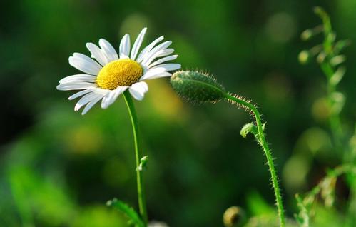 离雨微凉|聊天记录会告诉你,谁在想你