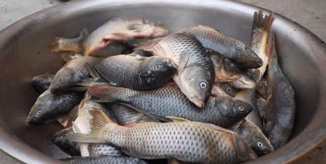 陈明辉说美食 河南小镇上的非遗小吃，5代人传承上百年，1天1000斤不够卖