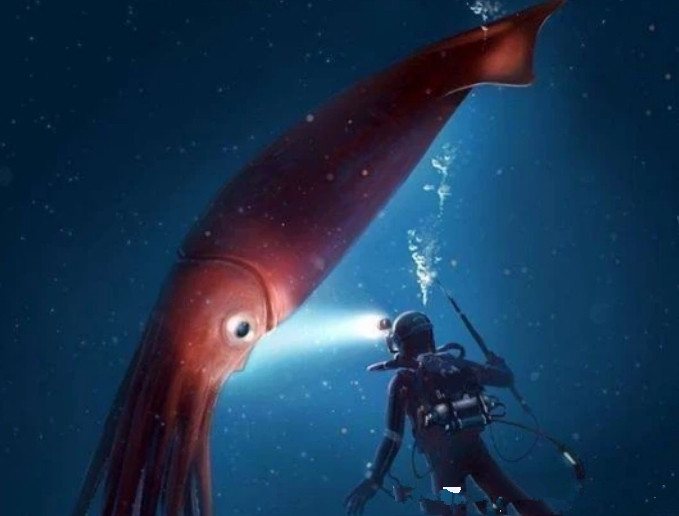 紫侠|深海的怪兽决斗：抹香鲸大战巨乌贼，场面好似科幻片！