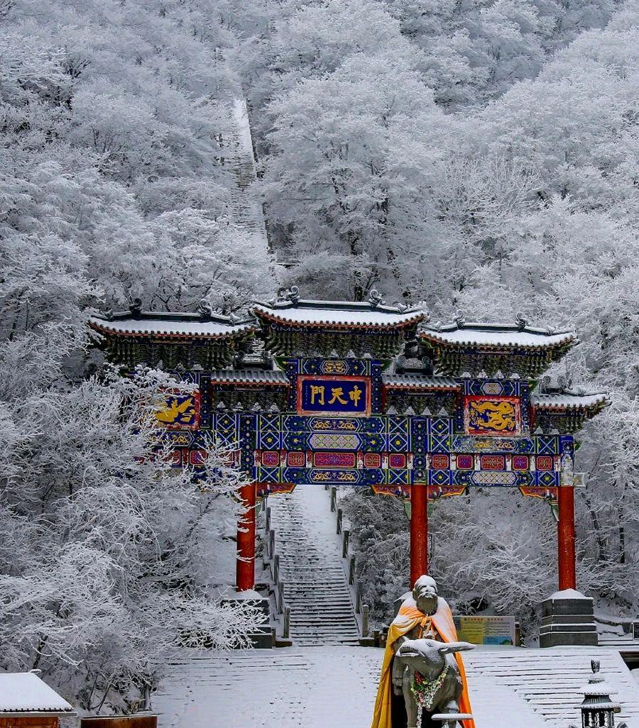 老君山|洛阳老君山旅游一日游攻略