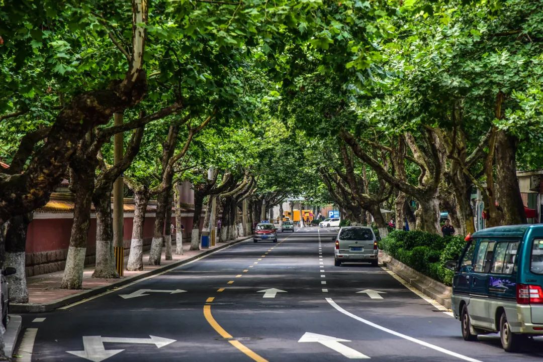 青岛市 超越苏州、成都！成了国内最宜居城市NO.1，这座海滨老城凭什么？
