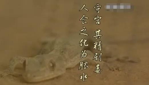 为什么说壁虎是五毒之一?它有什么毒?