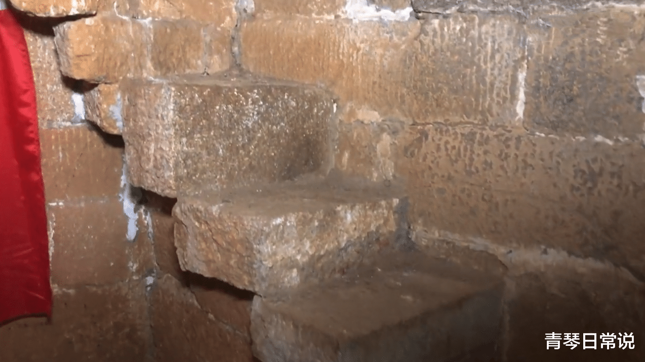 青琴日常说 湖南这个神奇的“塔顶树”,外面看不到根须,内部别有洞天