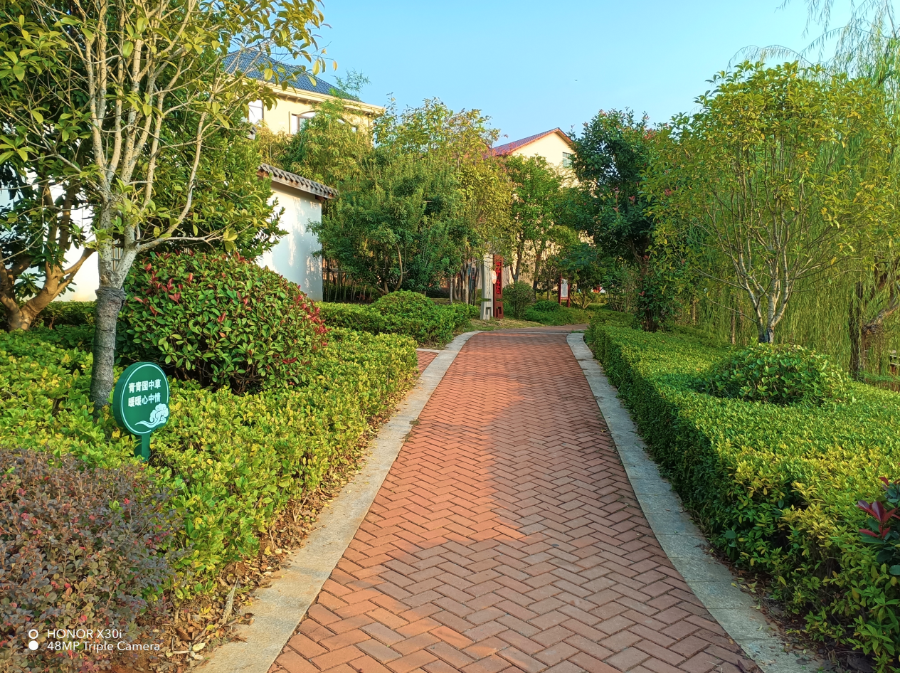 荣耀X30i首发上手体验：千元手机的质感被推上了新高度？