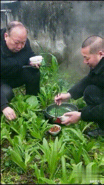 人力资源|“职场遇到骚扰怎么办?”妹子教你如何硬核回怼!哈哈哈