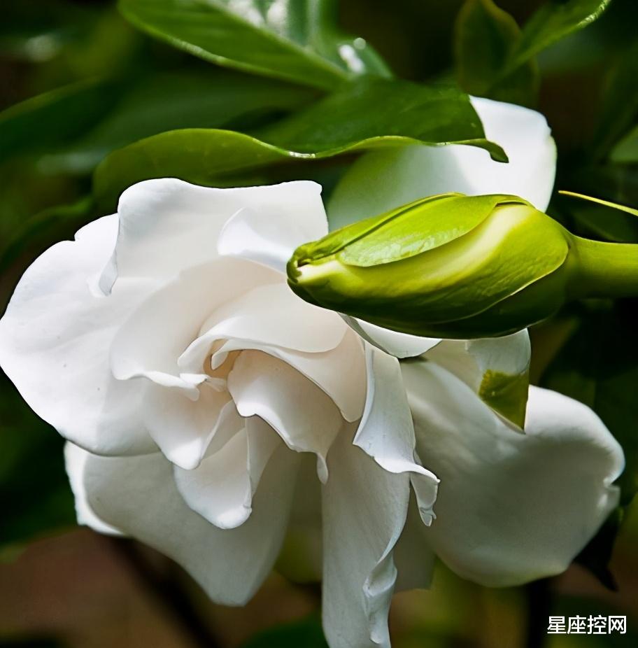 |哪些月份出生的人，能在困境中生存，学习力一流，职场发展不忧愁