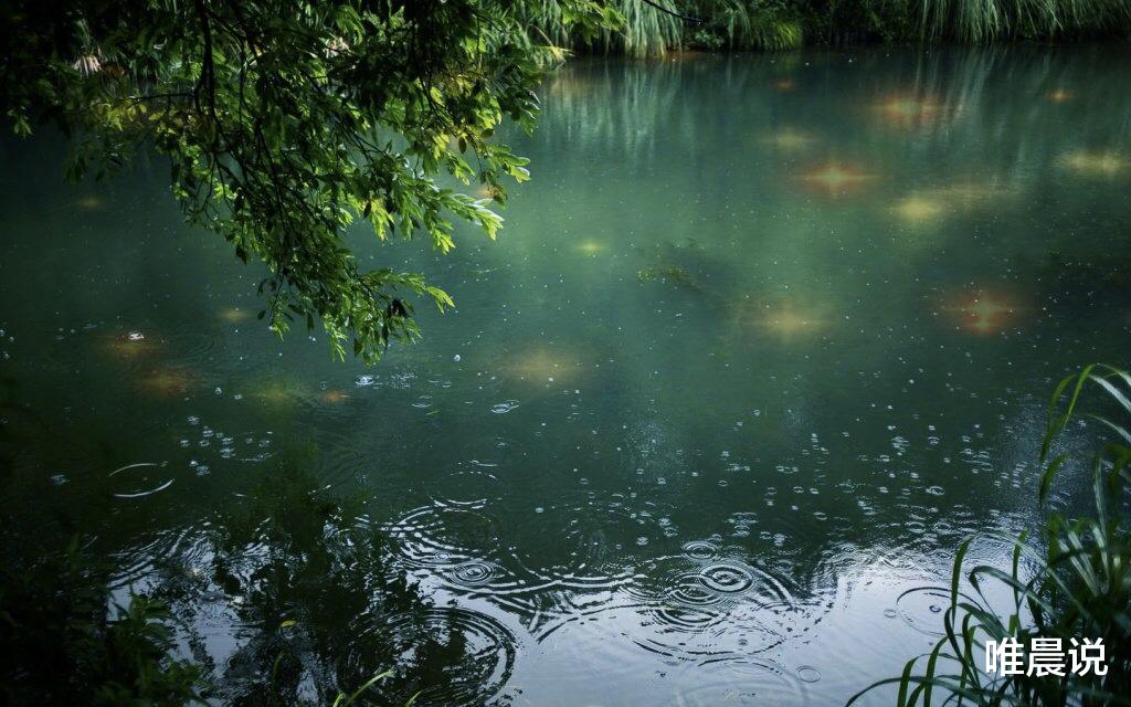 唯晨说|人际关系的最高境界,是既不疏远,也不添乱