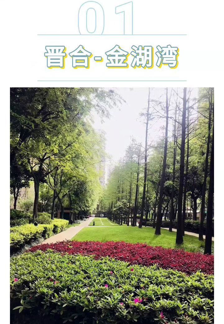 姑苏摄影王建康 江苏苏州：春意如许在晋合