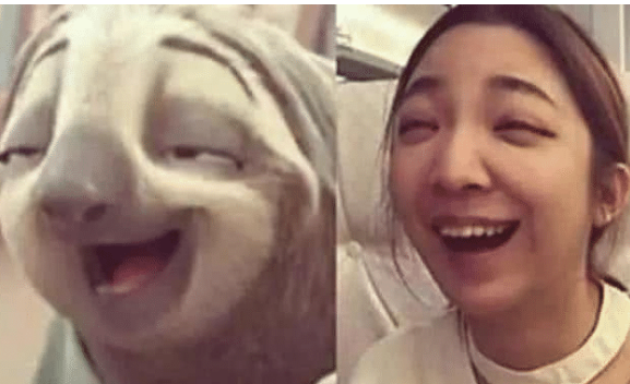 王俊凯|当明星们与动物撞脸，猫系的李易峰又萌又无辜，最后2个是怎么回事？