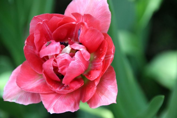 芨芨草001|没有原因的分手，你能接受吗？