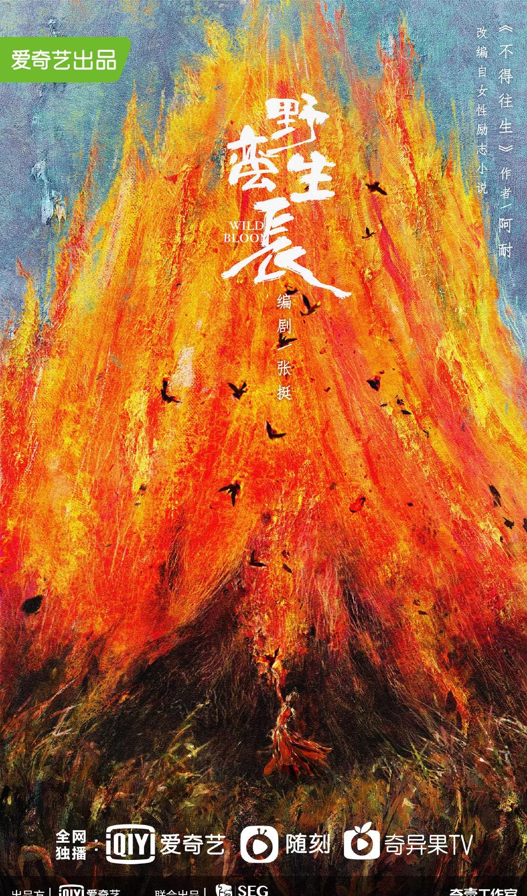 杨洋|千玺昊然？蔡徐坤消息？杨洋资源？赵丽颖新剧？关晓彤不受喜欢？