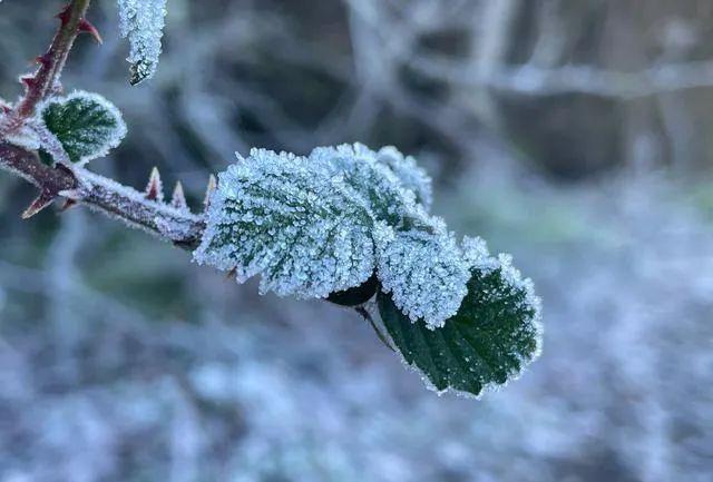手机拍照问题集锦，用“知识点”避免摄影忌讳，快速提高照片质量