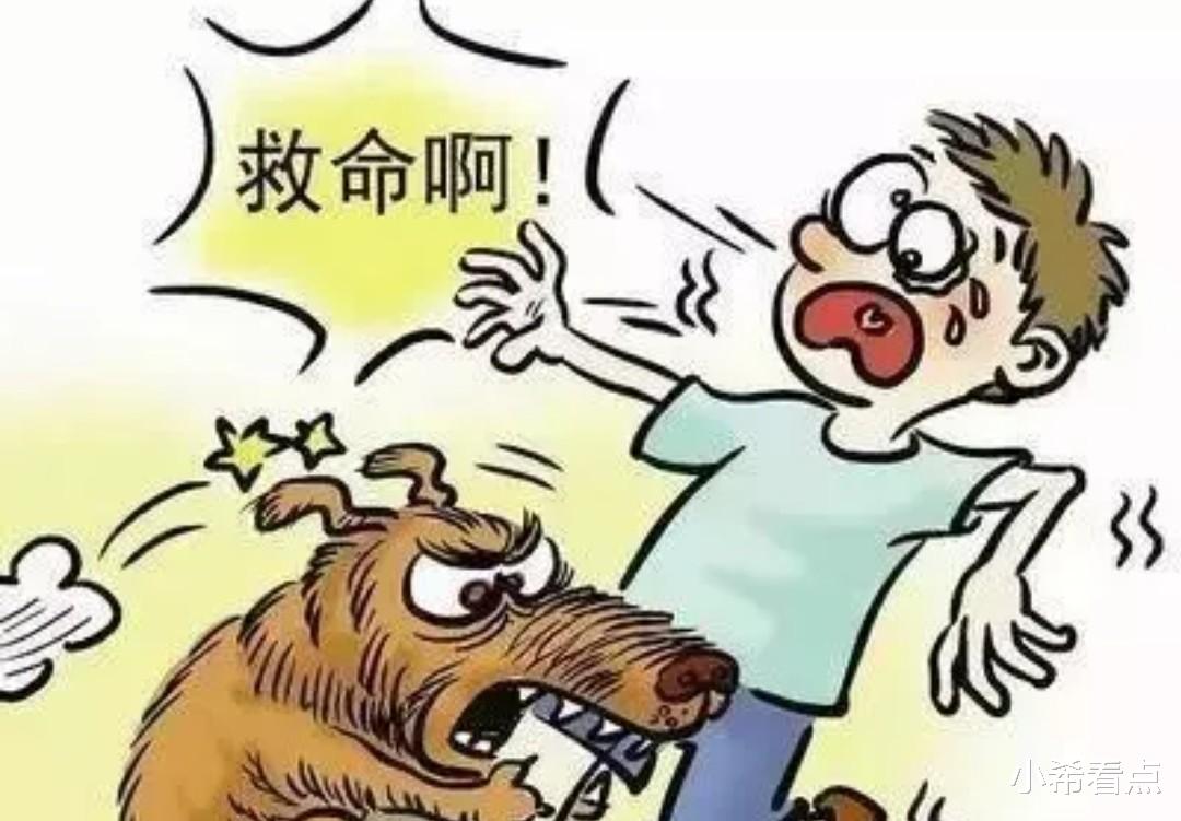 |遛狗不牵狗绳住户出价749万卖房，不道歉想走人了事？