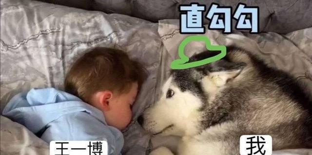 王一博|王一博百里弘毅首次“露面”，《风起洛阳》官方贺图发现背影