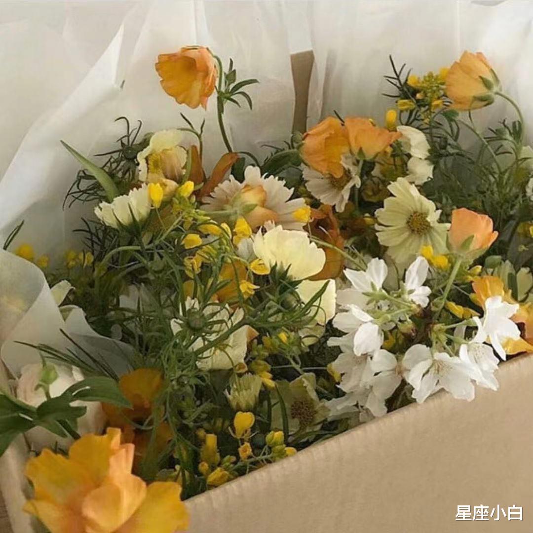 星座小白|对感情有洁癖，眼里容不得沙子的三大星座