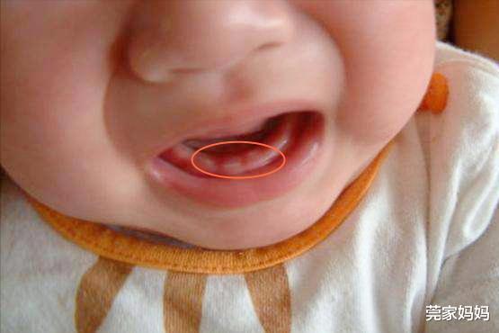 莞家妈妈|5个月的娃突然难带,家长留意长牙信号,帮助宝宝解锁6项适龄技能