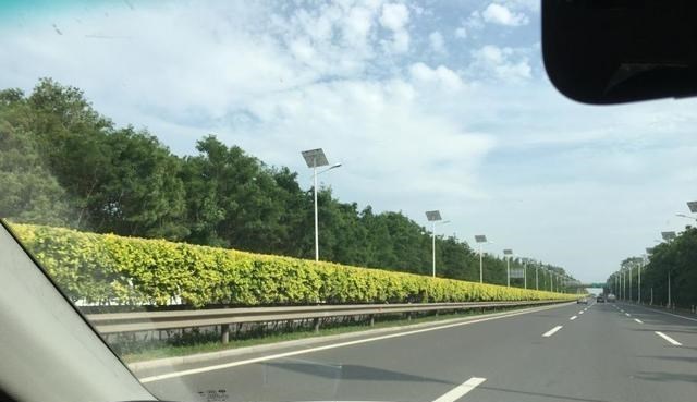 崔小娟说学习 女乘客坐出租，怀疑司机偷瞄自己，不料女子惨遭“打脸”？