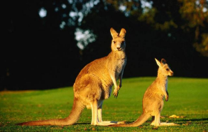 陨石坑 有什么东西在你知道后完全颠覆了你心中原本所想的样子？