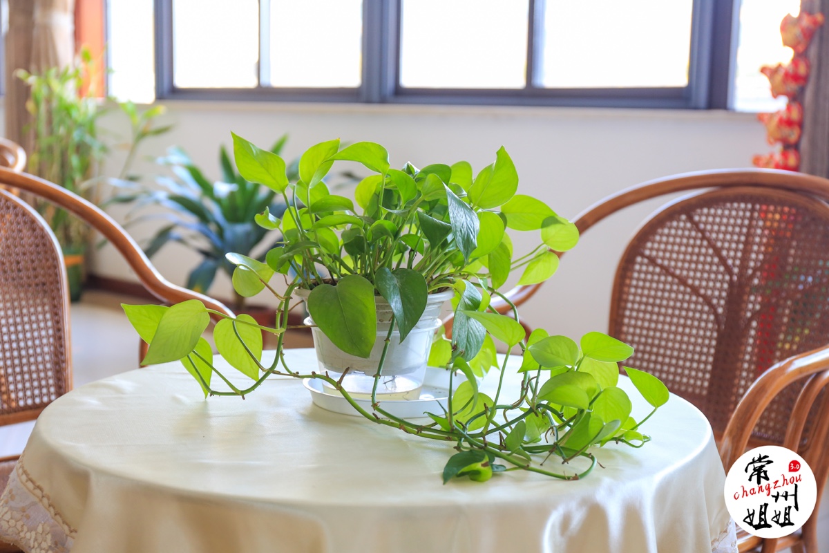 常州生活范 常州姐姐黄文娣:“全国优秀法官”,十年转型路,一生司法人