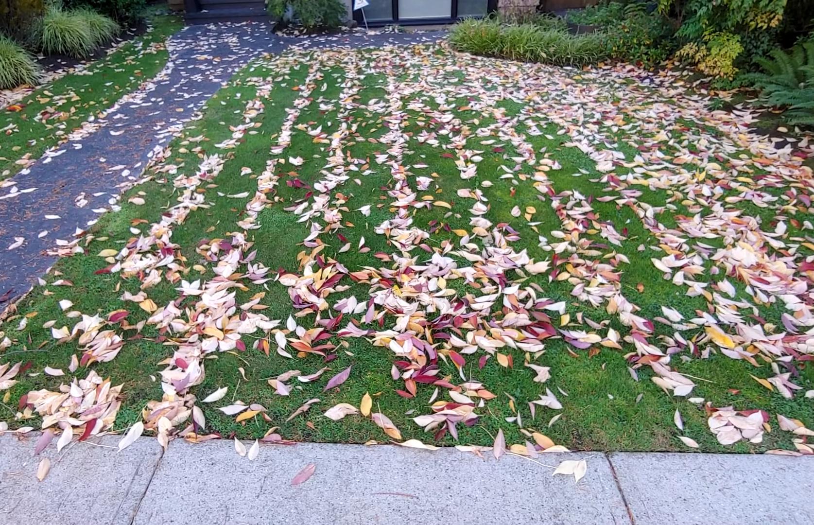 30张“冷知识”图片,看完大开眼界