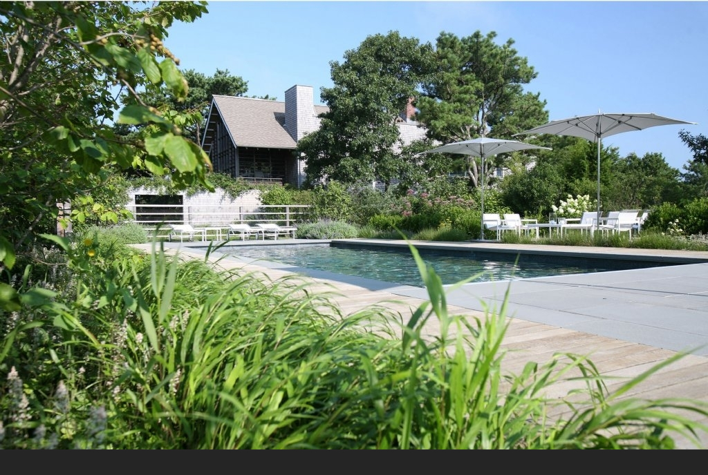 |20个植物较多的庭院,绿意盎然,一年四季都如春日般璀璨