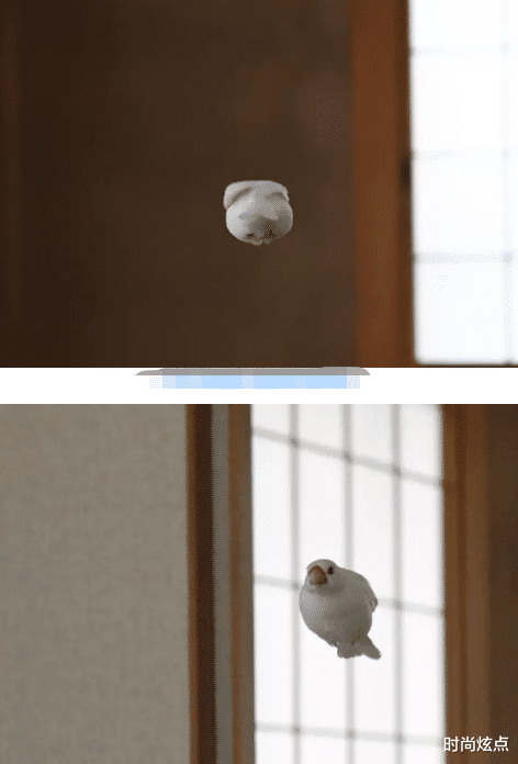 时尚炫点|生活中，我们不爱做饭，就会点外卖！但是你能想到，他们还是银河护卫胃队吗？