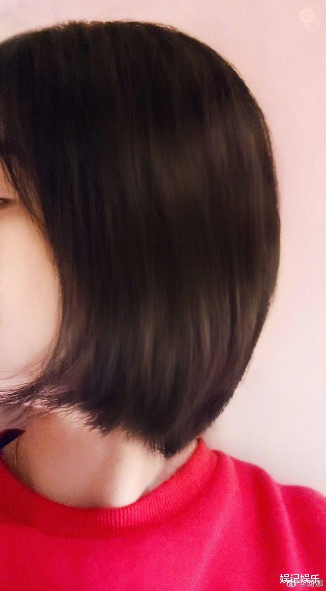 谢娜|谢娜剪短头发在家养胎，分享一家四口日常，两个女儿太活泼了