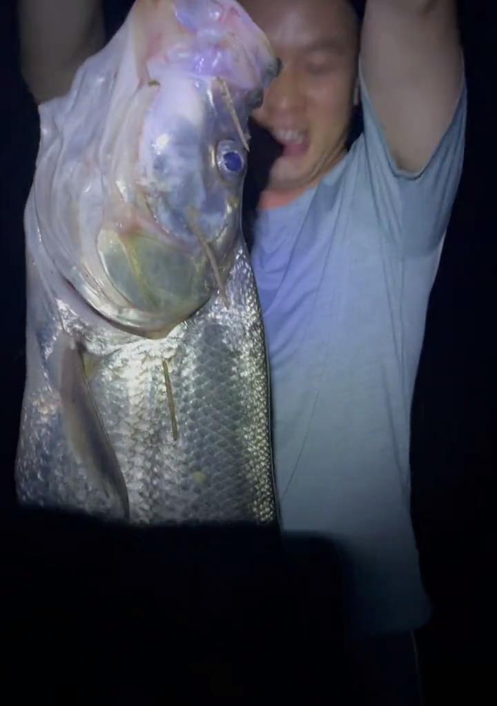 运势 26斤！小伙钓起西江“翘嘴鱼王”，网友：中看不中用，肉老难吃