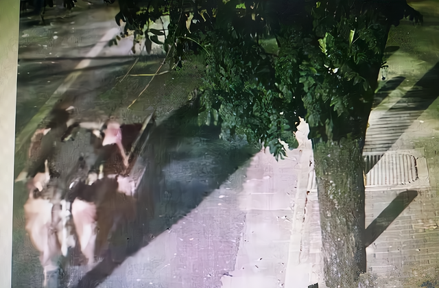 追尾 陕西男子偷井盖，月赚26000元，网友：这个盗贼真“勤奋”啊！