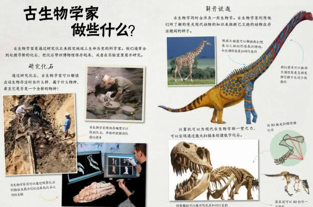 学习古生物学,未来可以做这些工作